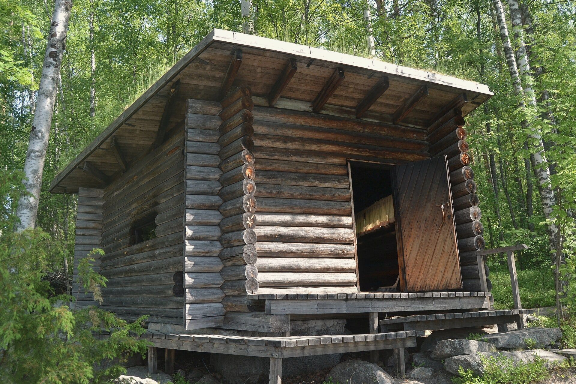 A small log sauna raised on stones in a birch and pine forest.